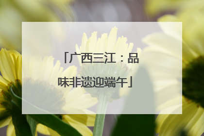 广西三江：品味非遗迎端午