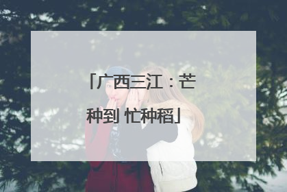 广西三江：芒种到 忙种稻