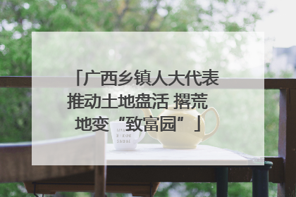 广西乡镇人大代表推动土地盘活 撂荒地变“致富园”