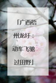 广西梧州龙圩：动车飞驰过田野
