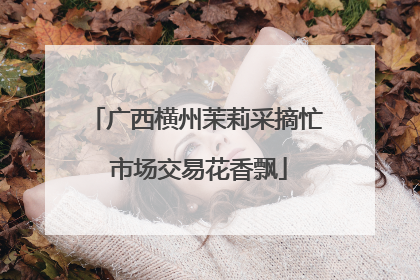 广西横州茉莉采摘忙 市场交易花香飘