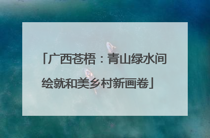 广西苍梧：青山绿水间绘就和美乡村新画卷