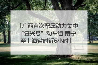 广西首次配属动力集中“复兴号”动车组 南宁至上海省时近6小时