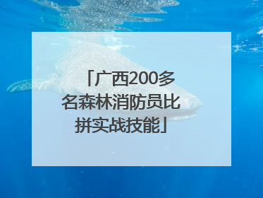 广西200多名森林消防员比拼实战技能