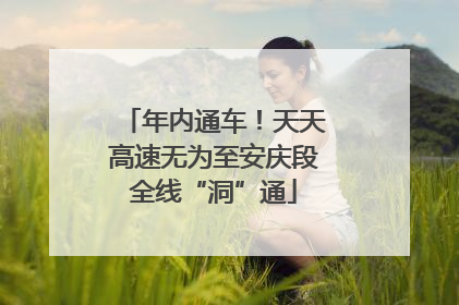 年内通车！天天高速无为至安庆段全线“洞”通