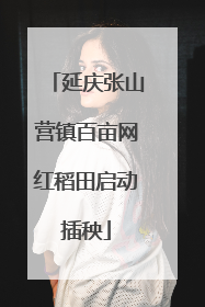 延庆张山营镇百亩网红稻田启动插秧