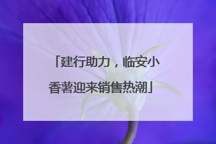 建行助力，临安小香薯迎来销售热潮