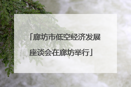 廊坊市低空经济发展座谈会在廊坊举行