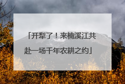 开犁了！来楠溪江共赴一场千年农耕之约