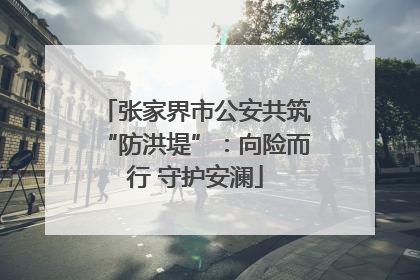 张家界市公安共筑“防洪堤”：向险而行 守护安澜