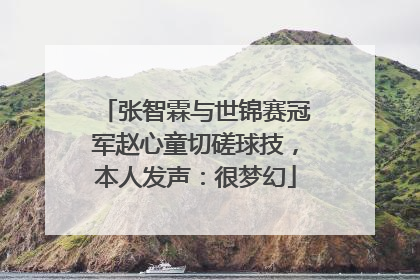 张智霖与世锦赛冠军赵心童切磋球技，本人发声：很梦幻