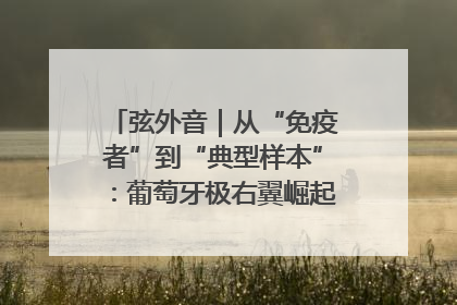 弦外音｜从“免疫者”到“典型样本”：葡萄牙极右翼崛起背后的欧洲困局