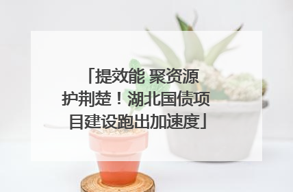 提效能 聚资源 护荆楚！湖北国债项目建设跑出加速度