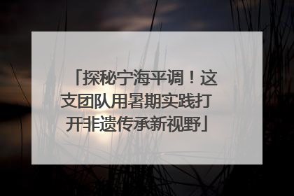 探秘宁海平调！这支团队用暑期实践打开非遗传承新视野