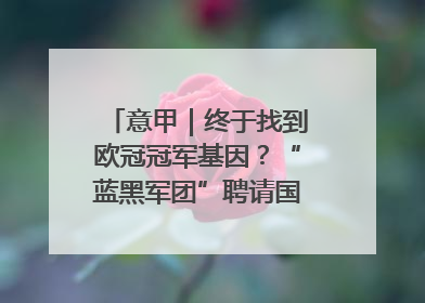 意甲｜终于找到欧冠冠军基因？“蓝黑军团”聘请国米名宿齐沃执教