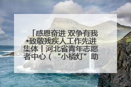 感恩奋进 双争有我•致敬残疾人工作先进集体丨河北省青年志愿者中心（“小橘灯”助残接力计划实施团队）：用温暖陪伴，守护特殊孩子成长