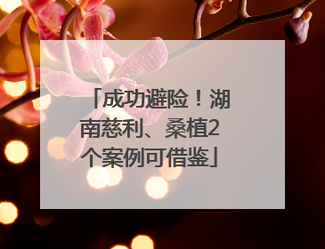 成功避险！湖南慈利、桑植2个案例可借鉴