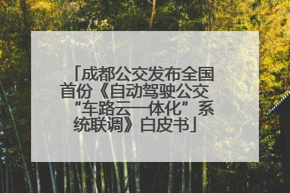 成都公交发布全国首份《自动驾驶公交“车路云一体化”系统联调》白皮书