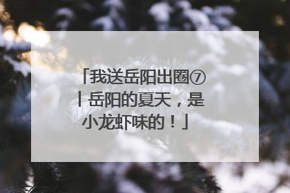 我送岳阳出圈⑦丨岳阳的夏天，是小龙虾味的！