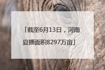 截至6月13日，河南夏播面积8297万亩