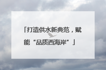 打造供水新典范，赋能“品质西海岸”