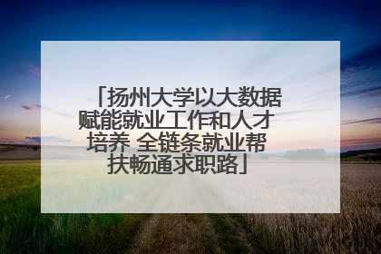 扬州大学以大数据赋能就业工作和人才培养 全链条就业帮扶畅通求职路