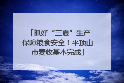 抓好“三夏”生产 保障粮食安全！平顶山市麦收基本完成