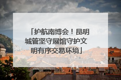 护航南博会！昆明城管坚守展馆守护文明有序交易环境
