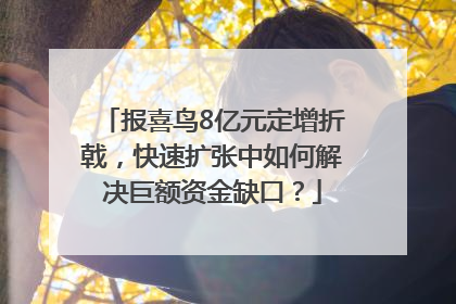 报喜鸟8亿元定增折戟，快速扩张中如何解决巨额资金缺口？