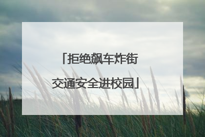 拒绝飙车炸街 交通安全进校园