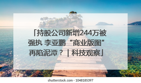 持股公司新增244万被强执 李亚鹏“商业版图”再陷泥潭？｜科技观察
