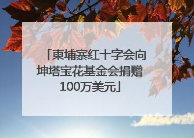 柬埔寨红十字会向坤塔宝花基金会捐赠100万美元