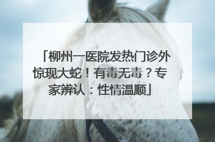 柳州一医院发热门诊外惊现大蛇！有毒无毒？专家辨认：性情温顺