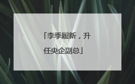 李季履新，升任央企副总