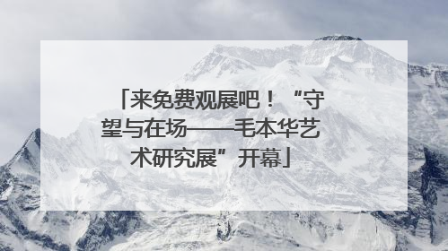 来免费观展吧！“守望与在场——毛本华艺术研究展”开幕