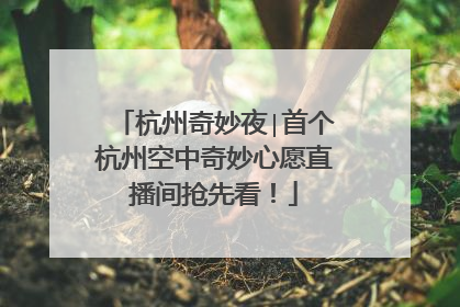 杭州奇妙夜∣首个杭州空中奇妙心愿直播间抢先看！