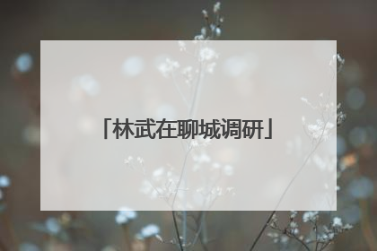 林武在聊城调研