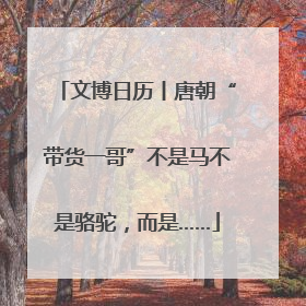 文博日历丨唐朝“带货一哥”不是马不是骆驼，而是……