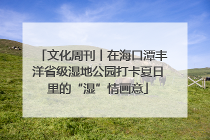 文化周刊丨在海口潭丰洋省级湿地公园打卡夏日里的“湿”情画意