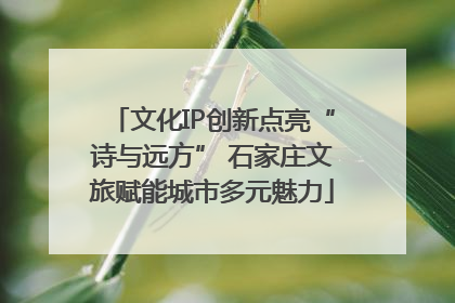 文化IP创新点亮“诗与远方” 石家庄文旅赋能城市多元魅力