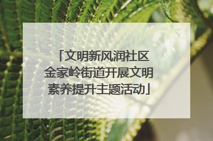 文明新风润社区 金家岭街道开展文明素养提升主题活动