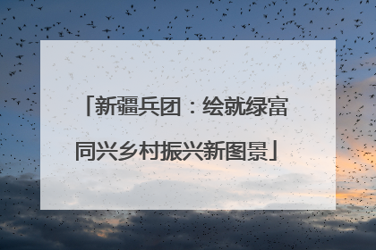 新疆兵团：绘就绿富同兴乡村振兴新图景