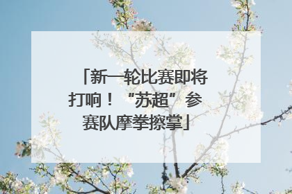 新一轮比赛即将打响！“苏超”参赛队摩拳擦掌