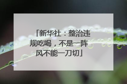 新华社：整治违规吃喝，不是一阵风不能一刀切