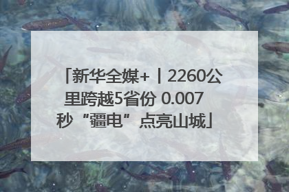 新华全媒+丨2260公里跨越5省份 0.007秒“疆电”点亮山城