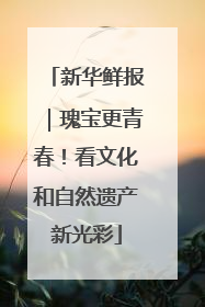新华鲜报｜瑰宝更青春！看文化和自然遗产新光彩