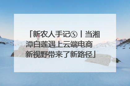 新农人手记⑤丨当湘潭白莲遇上云端电商 新视野带来了新路径