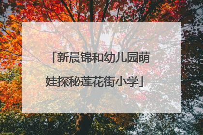 新晨锦和幼儿园萌娃探秘莲花街小学