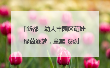 新都三幼大丰园区萌娃绿茵逐梦，童趣飞扬