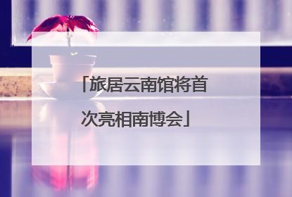 旅居云南馆将首次亮相南博会